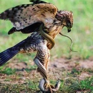 Meet your Posher, Vicent